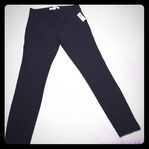 Women’s polka dot stretch pant